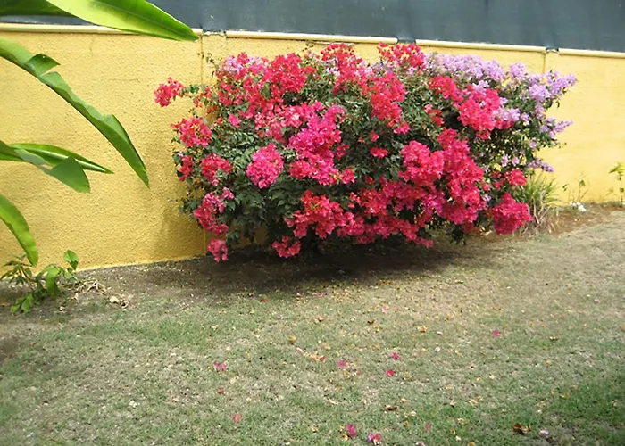 Villa With 2 Bedrooms In Anse-Bertrand, With Furnished Garden And Wifi
