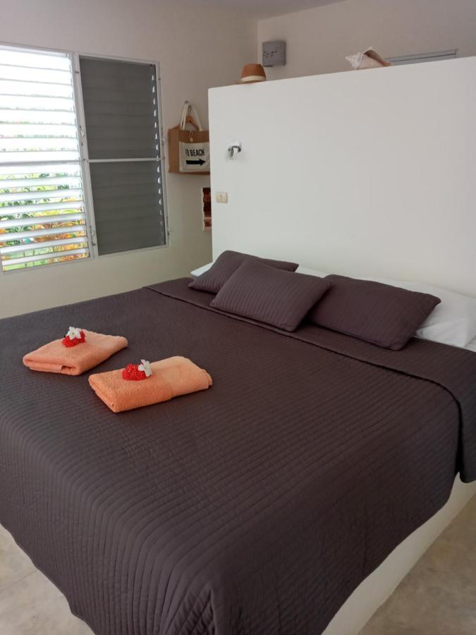 Domaine Vista Linda La Casita Del Loma Vista Mar Río San Juan