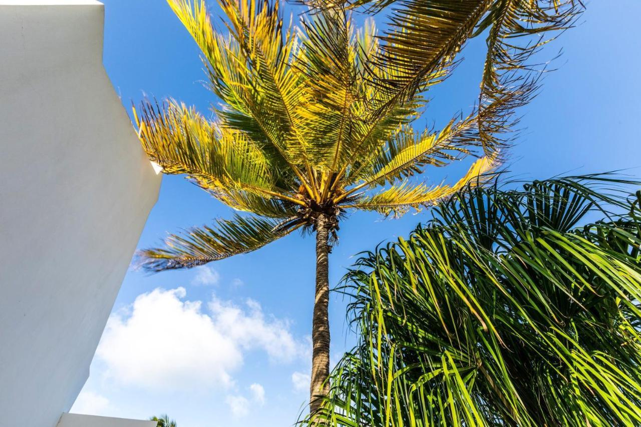 Oceanfront 72 & Sunny Villa *