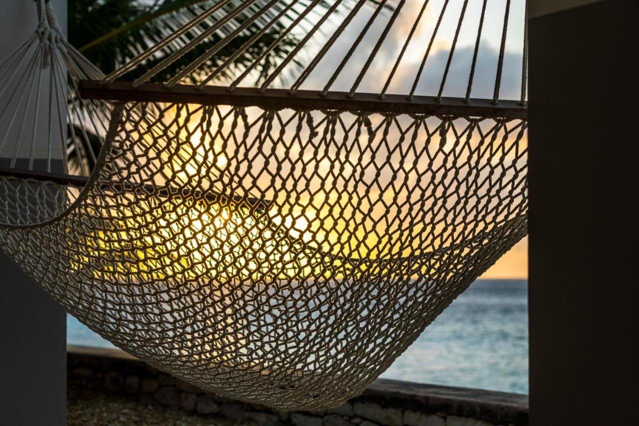 Villa Oceanfront 72 & Sunny Kralendijk (Bonaire)