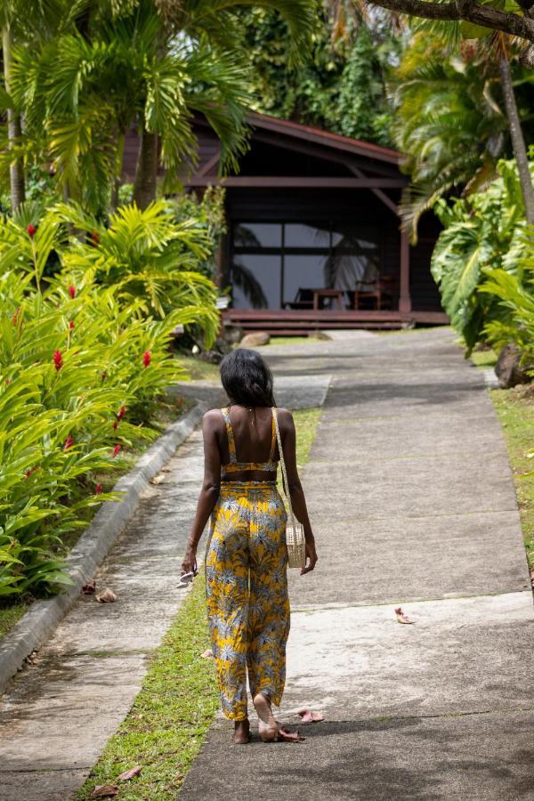 Jardin Malanga Basse-Terre