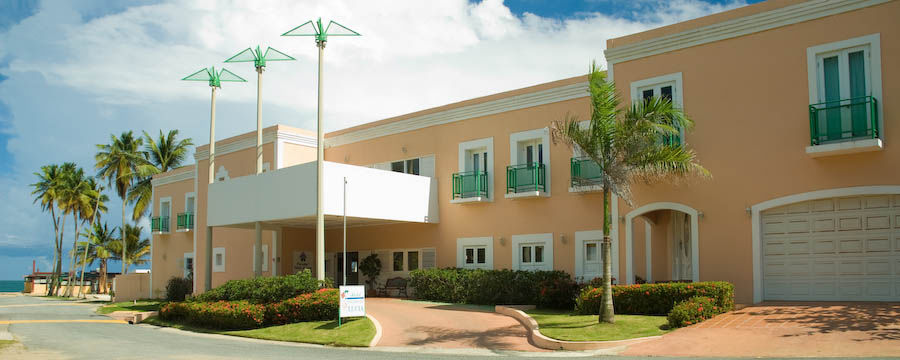 Palmas De Lucia