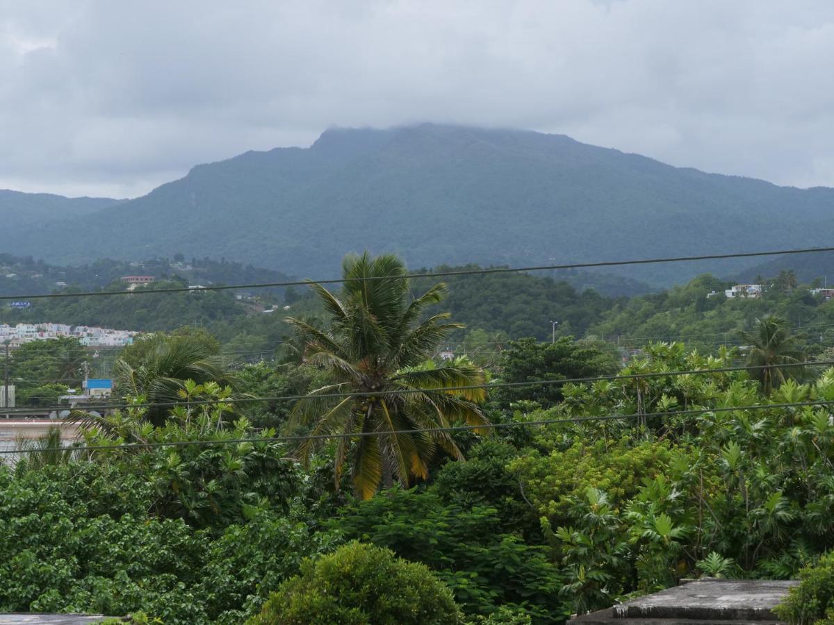 Albergue Luquillo Beach Hostel *