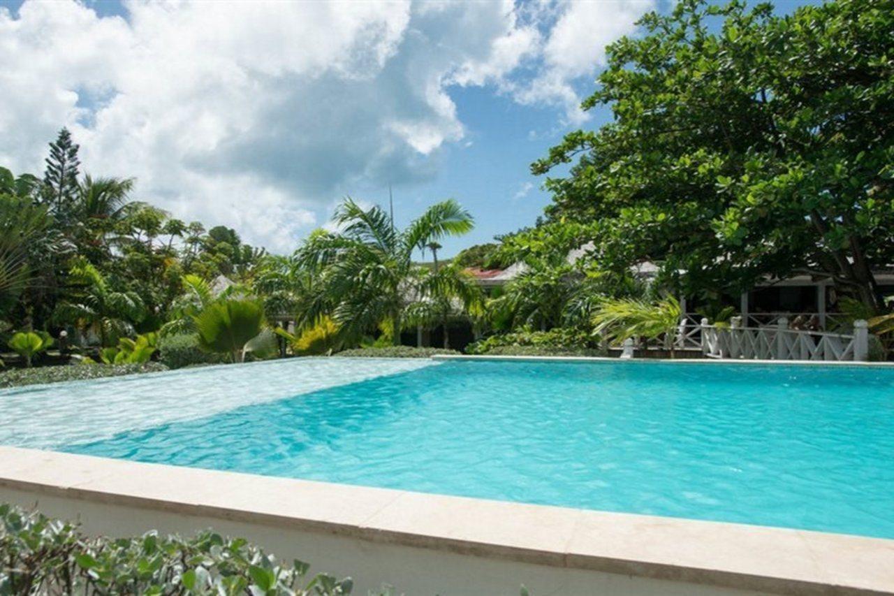 Coconut Club 3*