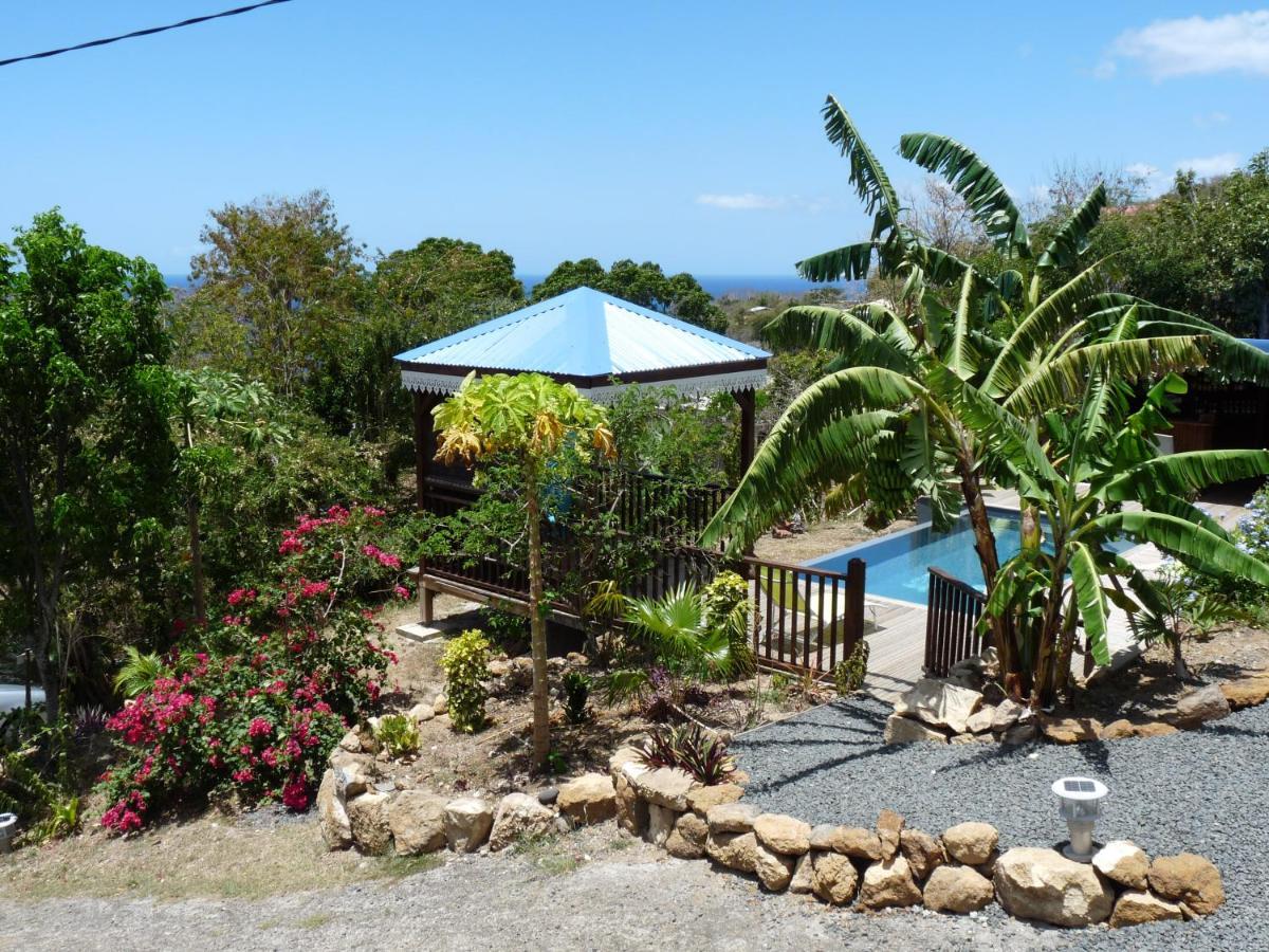 La Tortue Bleue Acomodação com café da manhã  *