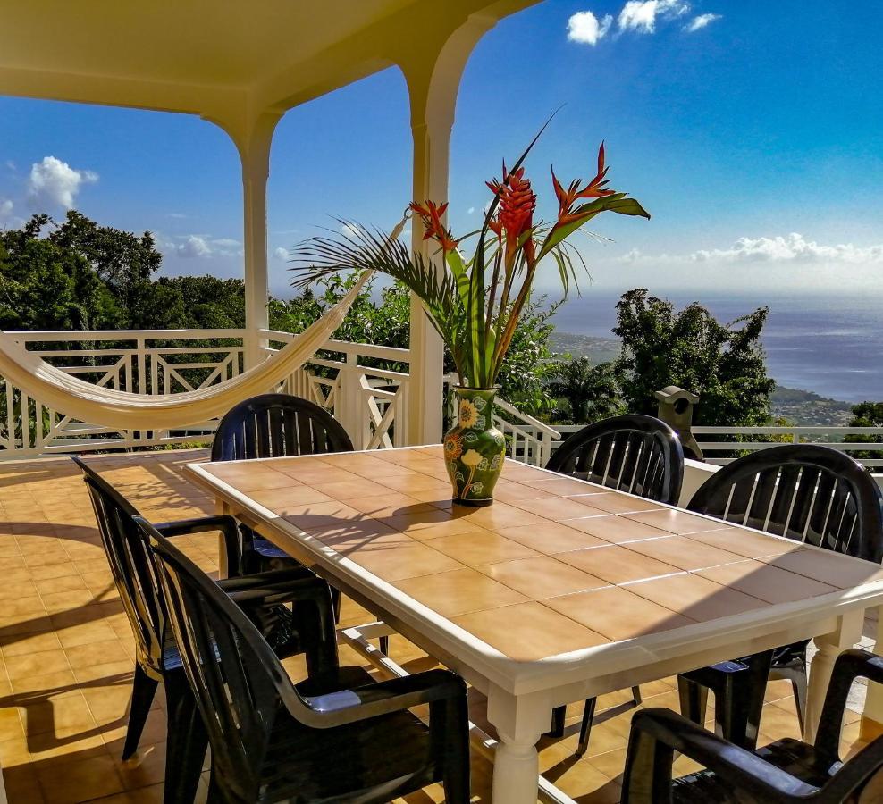 Belavue & Prive, Avec Vue Panoramique Sur Mer, Jardin Creole Paysager, Jacuzzi Prive