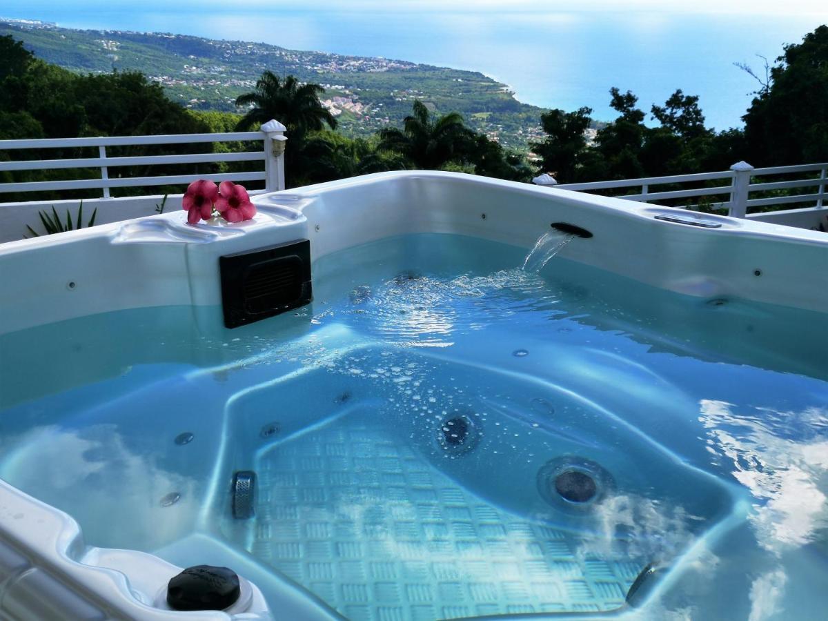 Holiday home Belavue & Prive, Avec Vue Panoramique Sur Mer, Jardin Creole Paysager, Jacuzzi Prive *