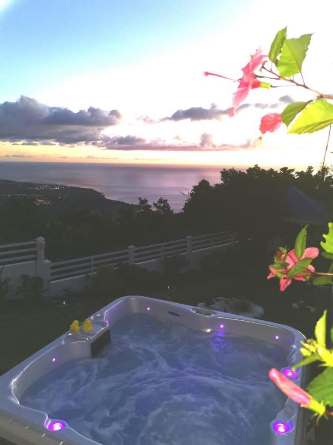Belavue & Prive, Avec Vue Panoramique Sur Mer, Jardin Creole Paysager, Jacuzzi Prive
