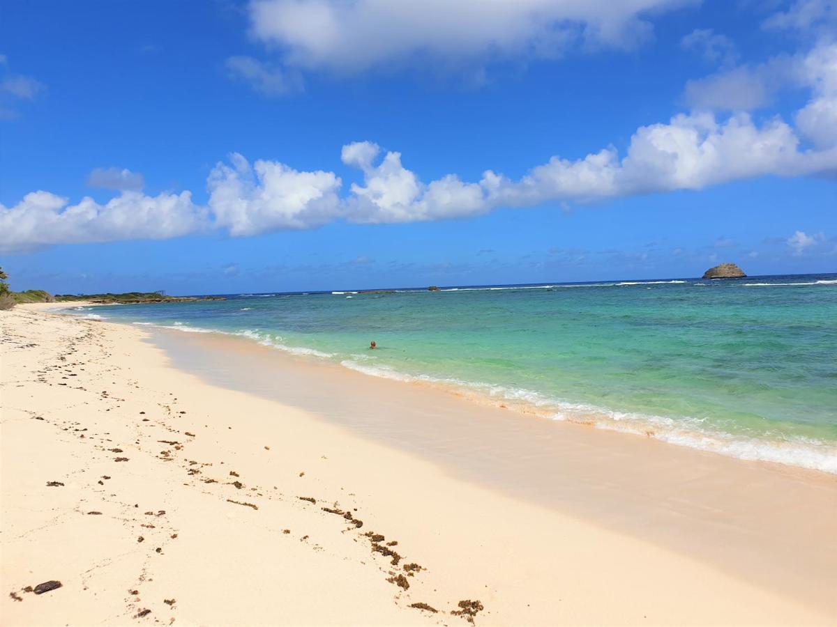 Guadeloupe Francois Acces Piscine Iguana Bay - Zagadi * Saint-Francois (Grande-Terre)