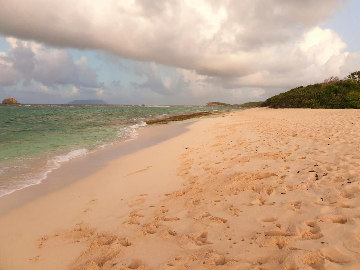 Guadeloupe Francois Acces Piscine Iguana Bay - Zagadi *