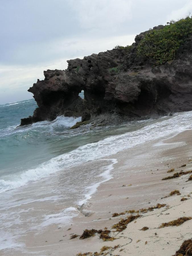 Le Flamboyant Le Marin