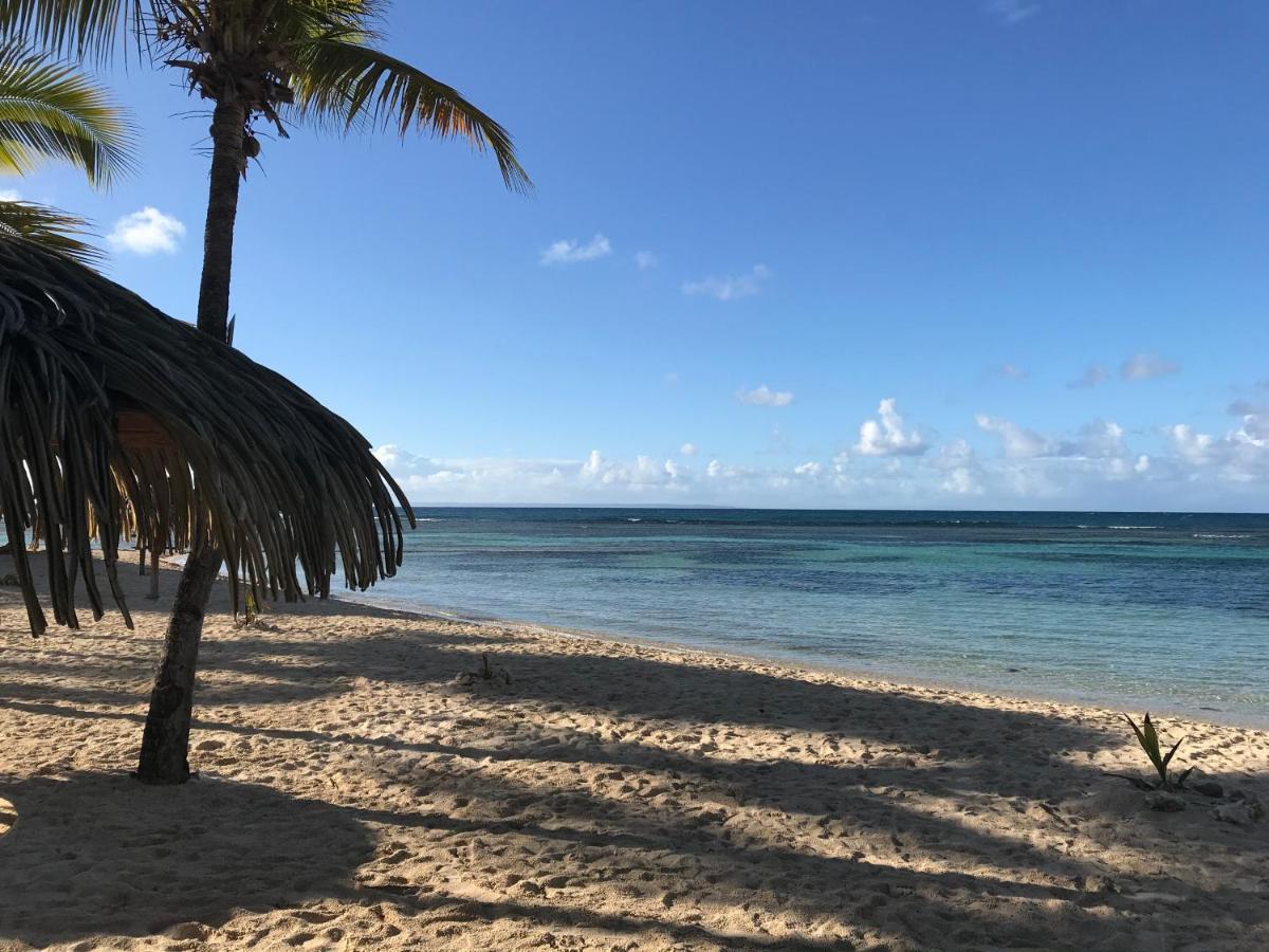 Apartment Brin D'ile Anse Des Rochers Vue A 50 M De La Et Piscine