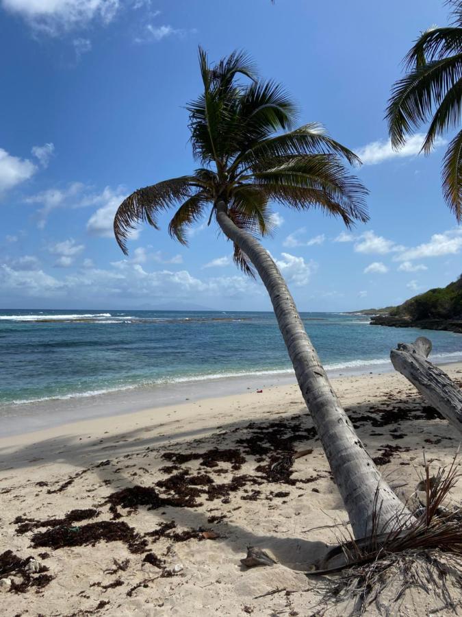 Titanse, La Dans L Arbre Capesterre