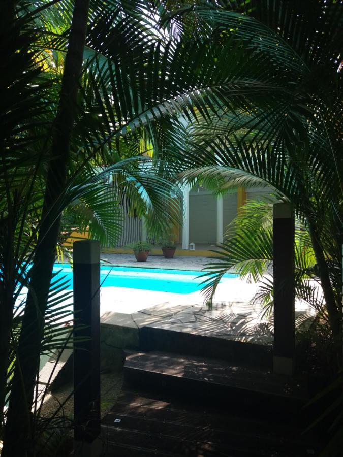 D'hote Et Loft Dans Maison De Charme Piscine A Debordement La Gialla Schoelcher