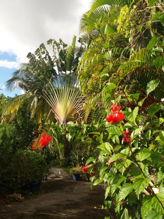 Bed & Breakfast D'hote Et Loft Dans Maison De Charme Piscine A Debordement La Gialla Schoelcher