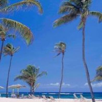 Nisbet Plantation Club Resort