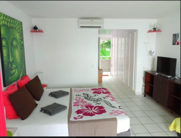 Studio Anoli Apartment Le Gosier (Grande-Terre)