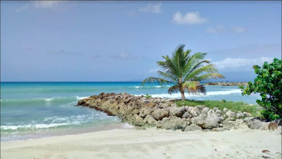 Apartment Studio Anoli Le Gosier (Grande-Terre)