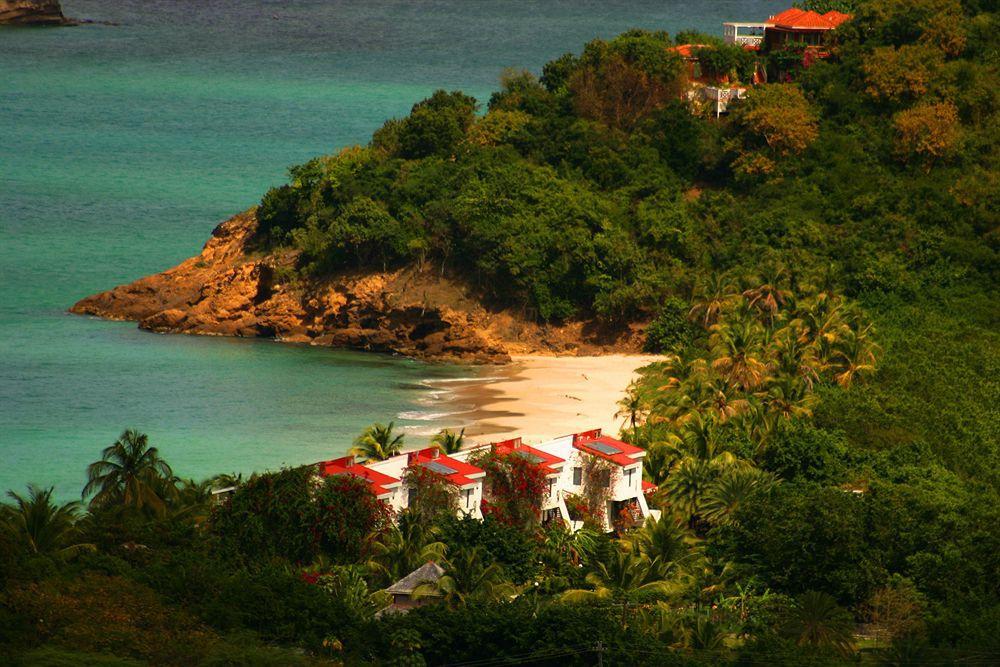 Coconut Club Hotel 3*
