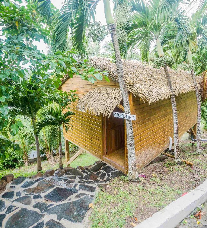 Bed & Breakfast Carre Royal *