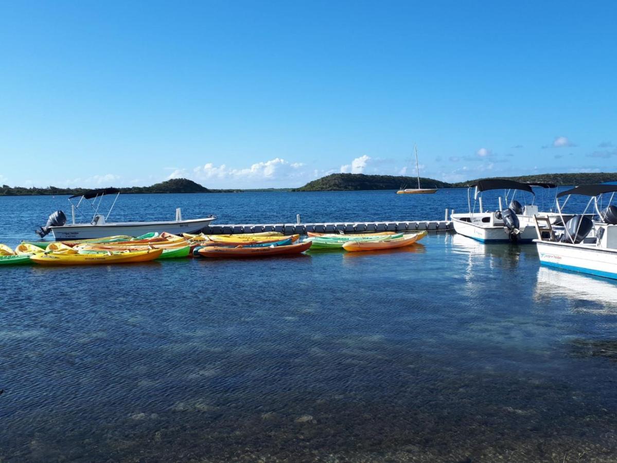 Hotel Ellen Bay 3*