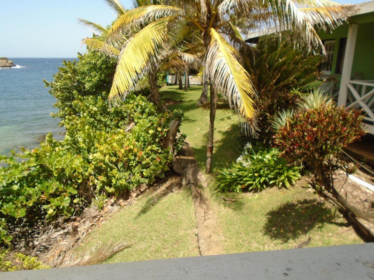 Guest house Cabier Ocean
