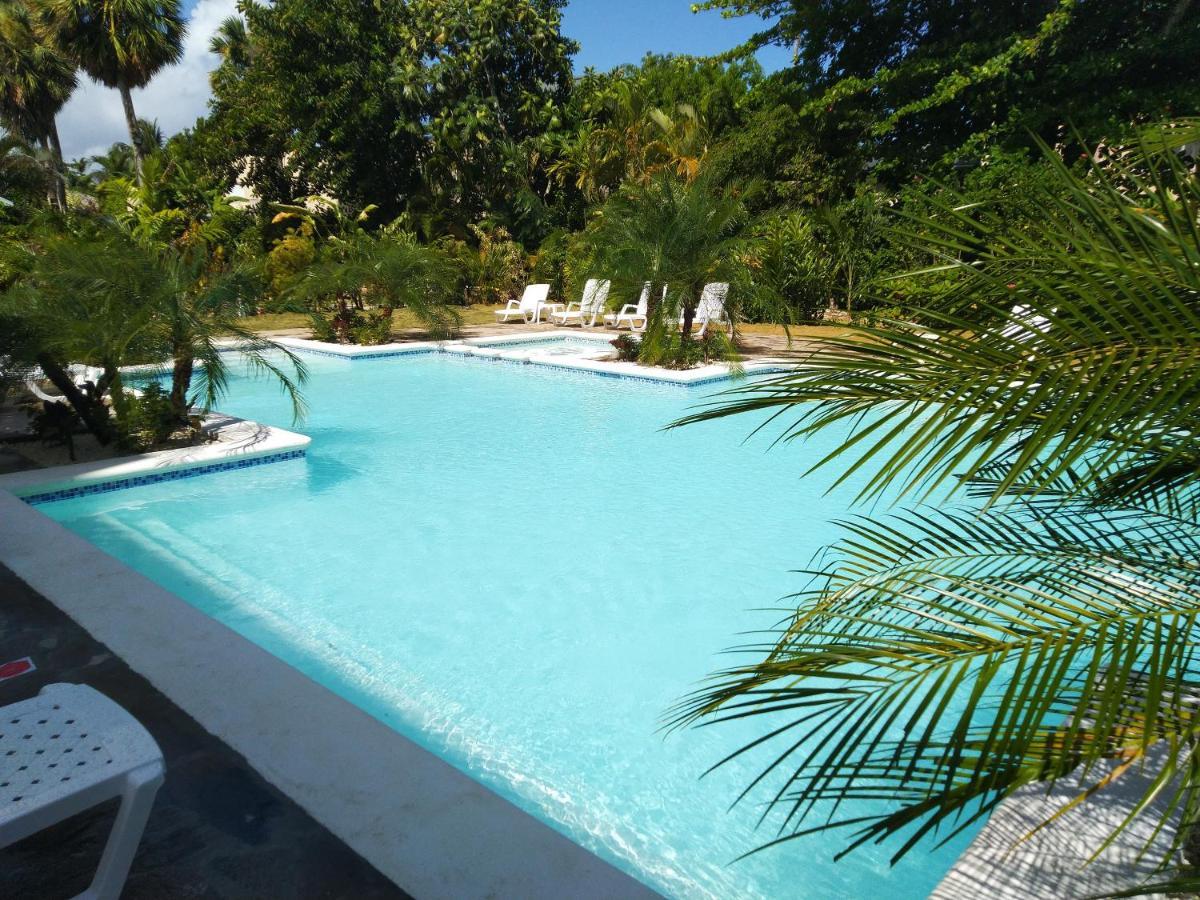 Coco Plaza 3* Las Terrenas