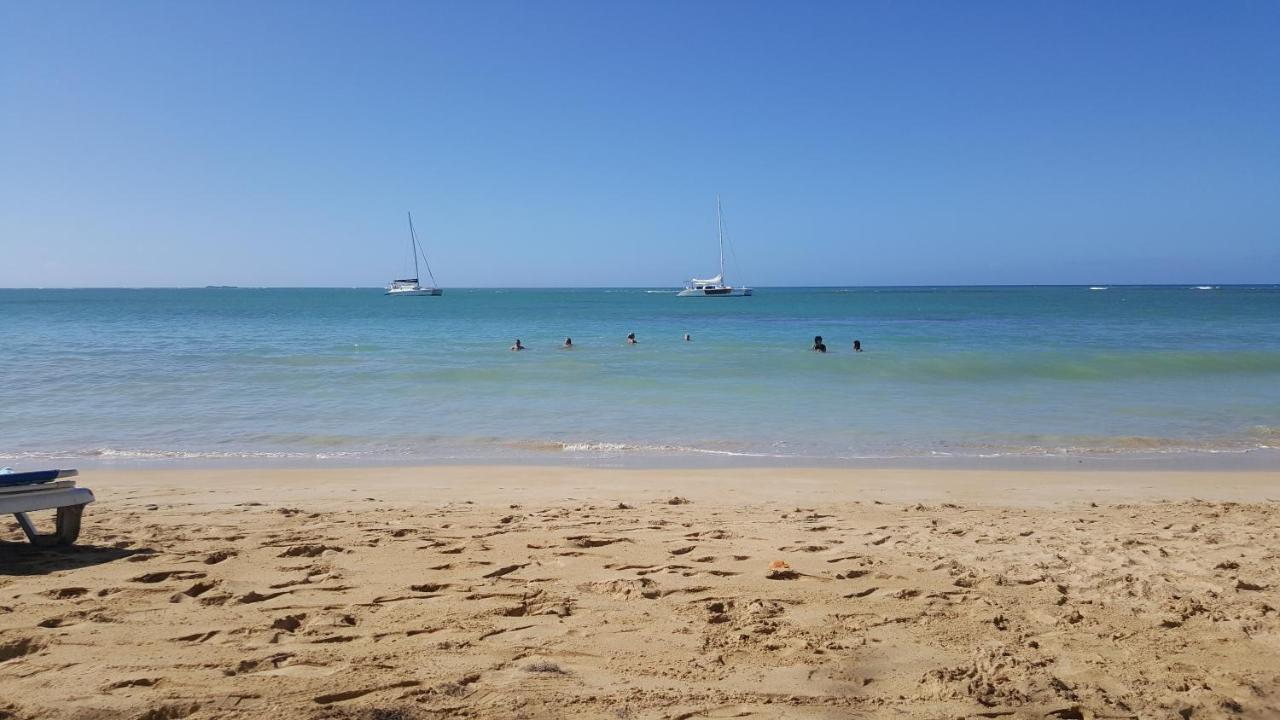 Saman Terrace Las Terrenas