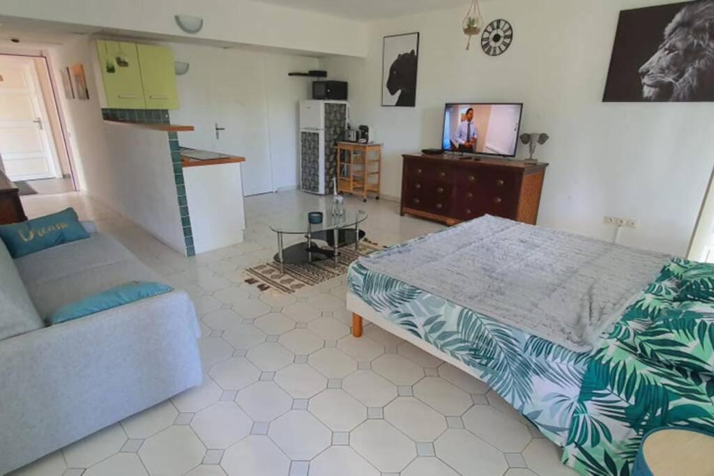 Grand Tropical Idealement Situe, Jardin Et Piscine Apartment *