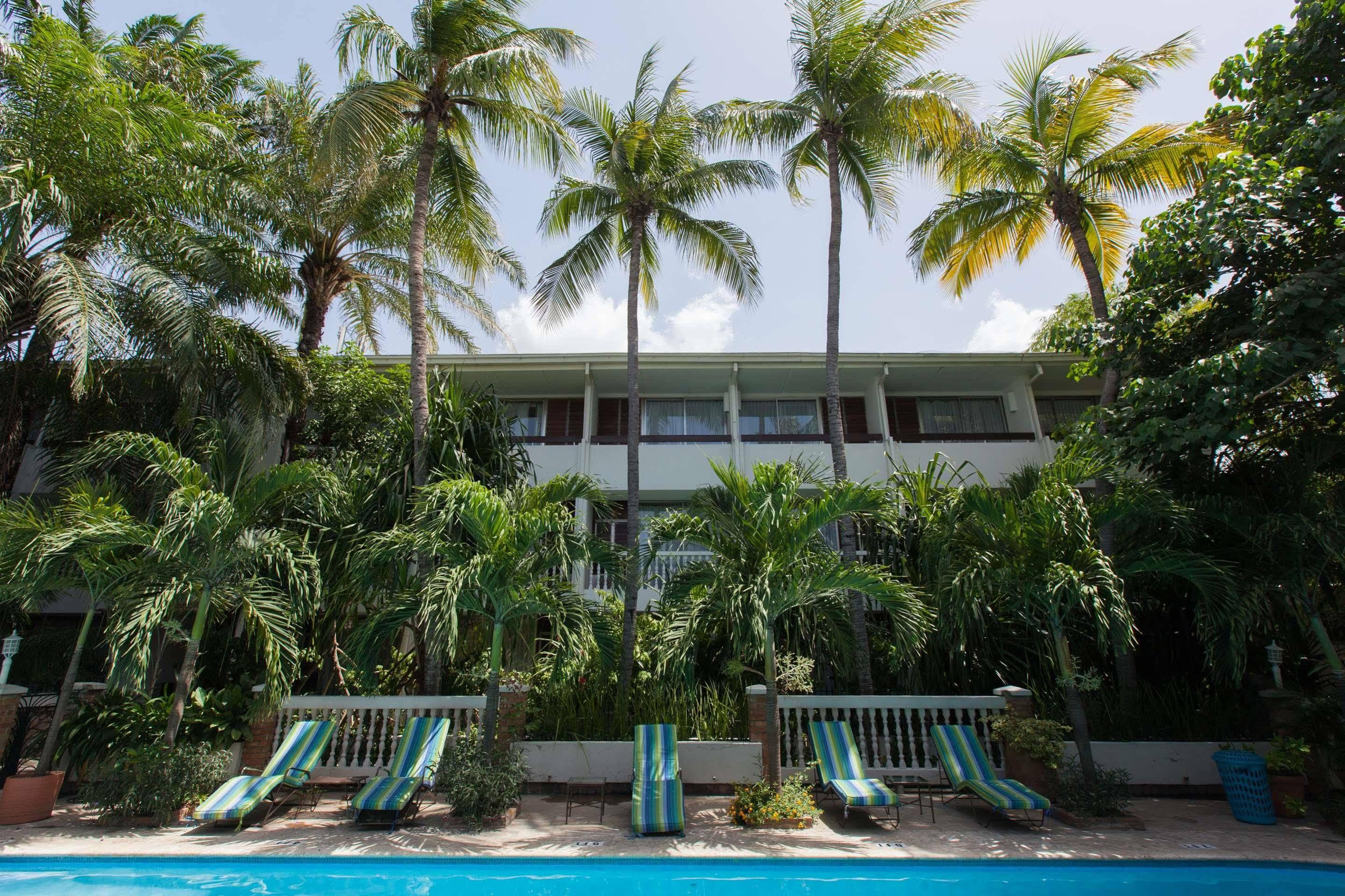 Luxury tent Le Plaza Port-au-Prince