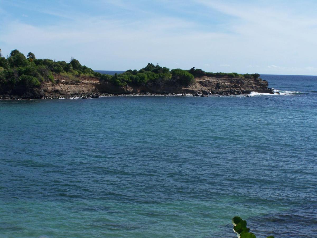 Cabier Ocean 3*