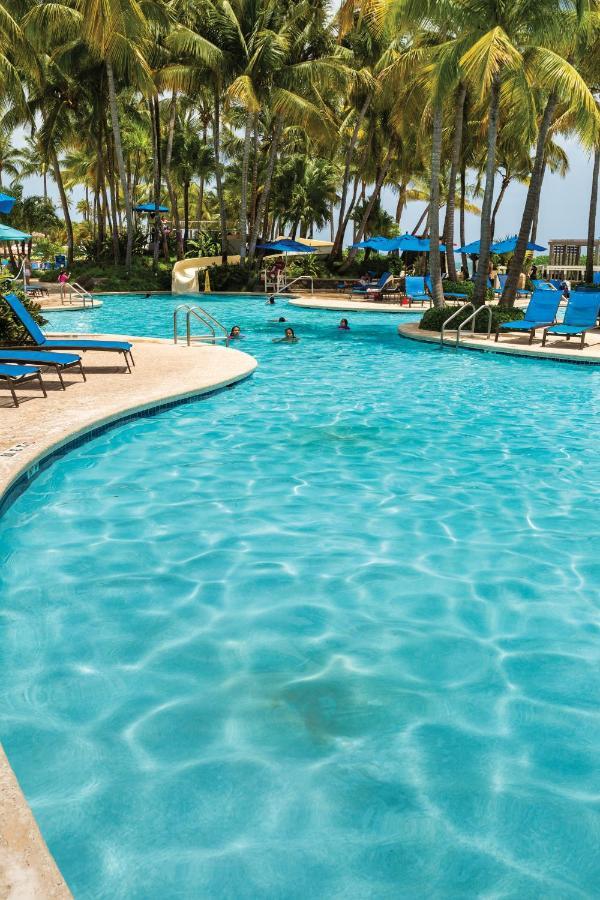 Margaritaville Vacation Club - Rio Mar Resort Rio Grande