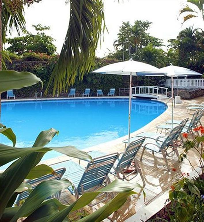 Hotel Shaw Park & 3*