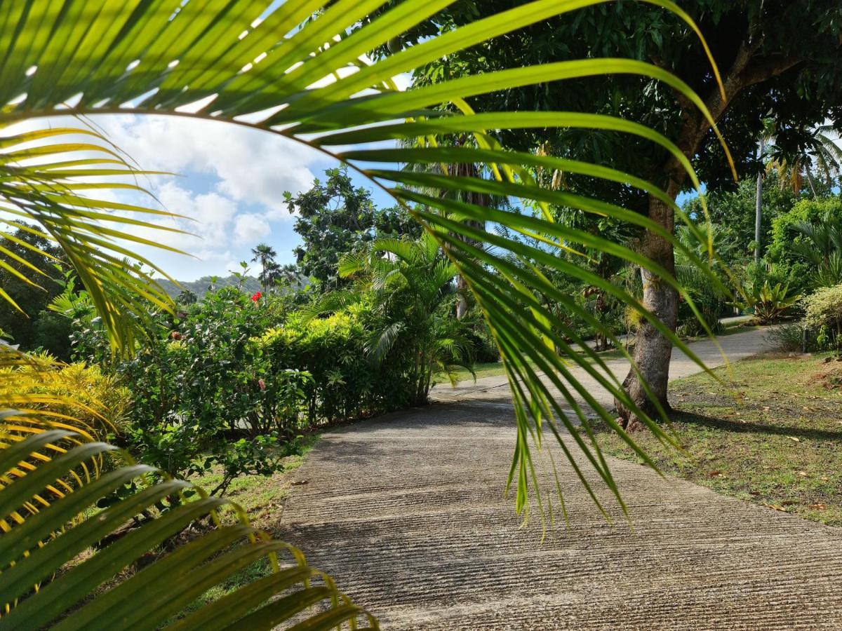 Can' Hibiscus Holiday home *