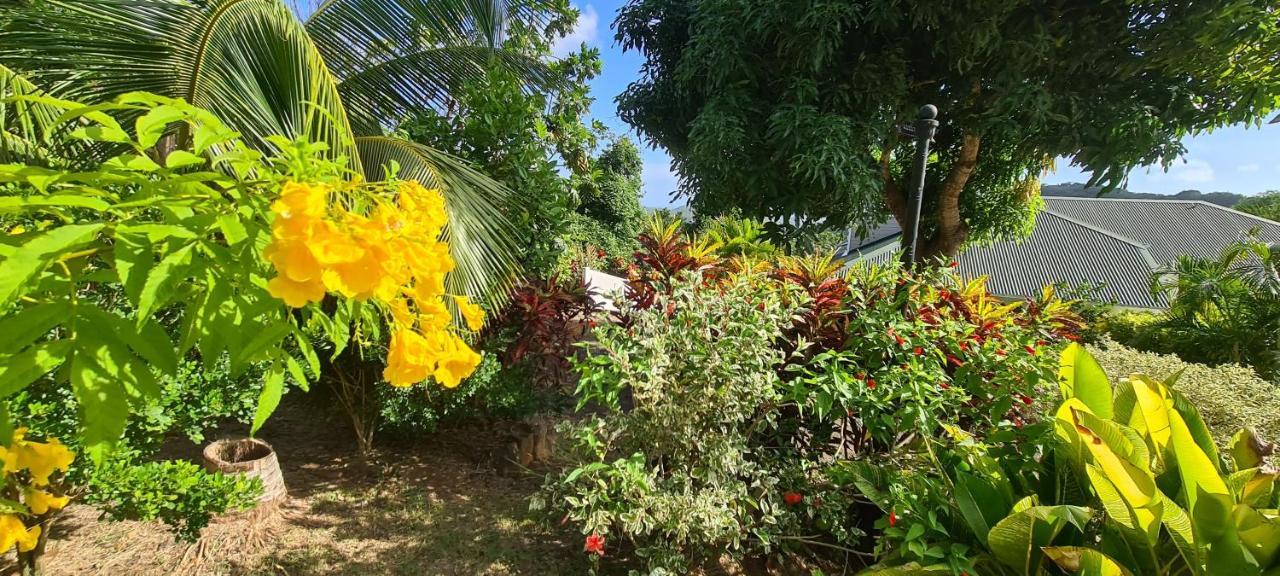 Holiday home Can' Hibiscus Le Marin