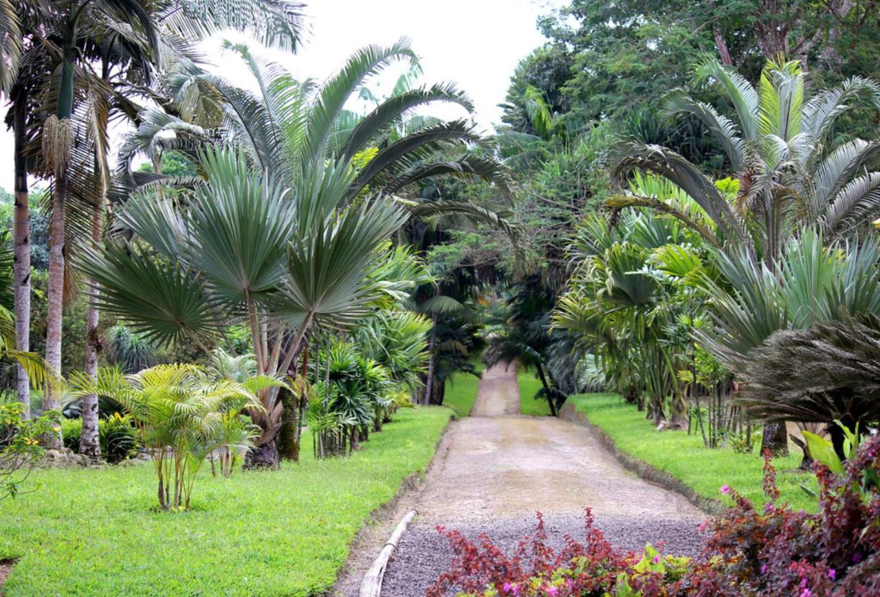 Tropical Island * Santo Domingo