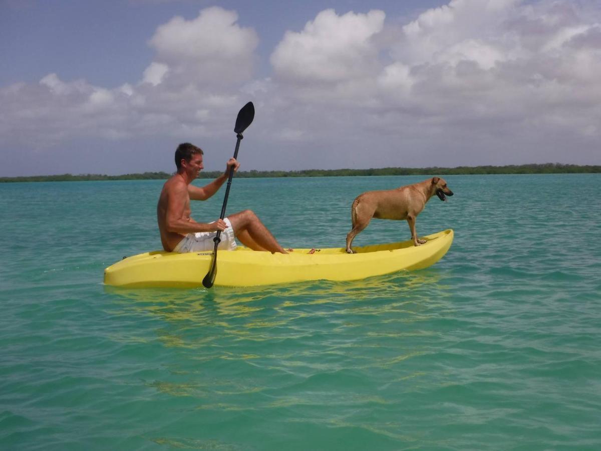 Holiday home Roadrunner-bonaire