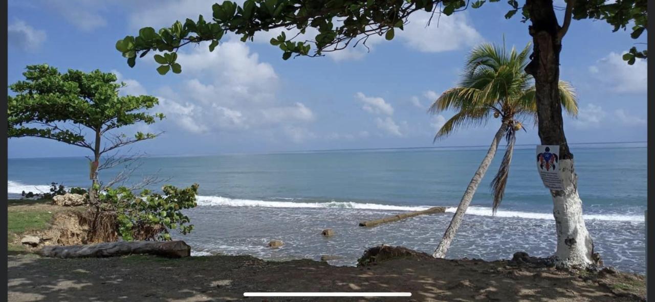 Casa Peace Haven House Holiday home