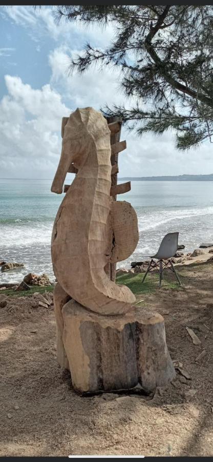 Casa Peace Haven House * Aguada