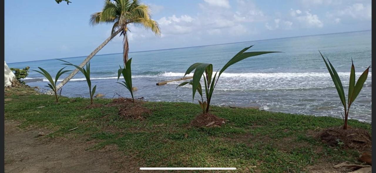 Casa Peace Haven House Holiday home Aguada