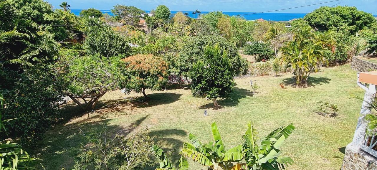 Les Hauts Du Cap * Le Francois