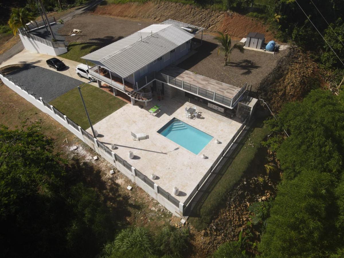 Palm's Bohemian House With Private Pool