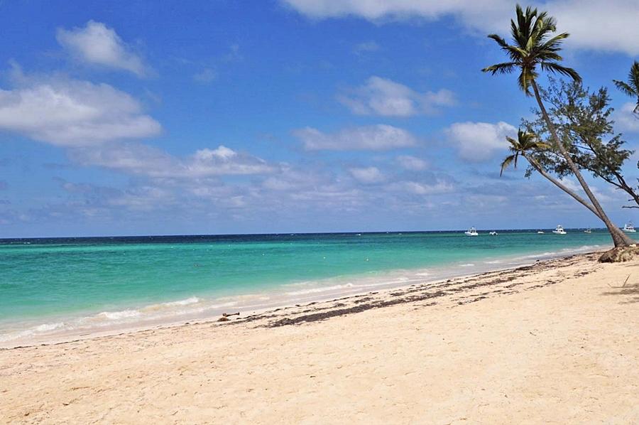 Bavaro Cortecito *