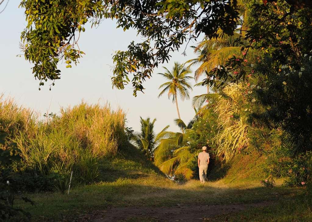 Belle Mont Sanctuary - Kittitian Hill Basseterre