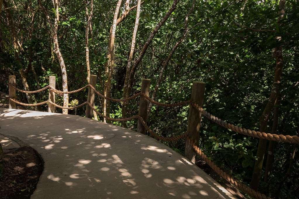 Resort Belle Mont Sanctuary - Kittitian Hill