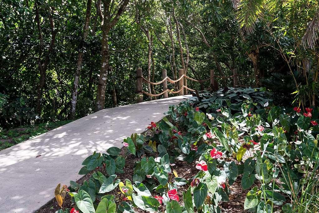 Belle Mont Sanctuary - Kittitian Hill 5*