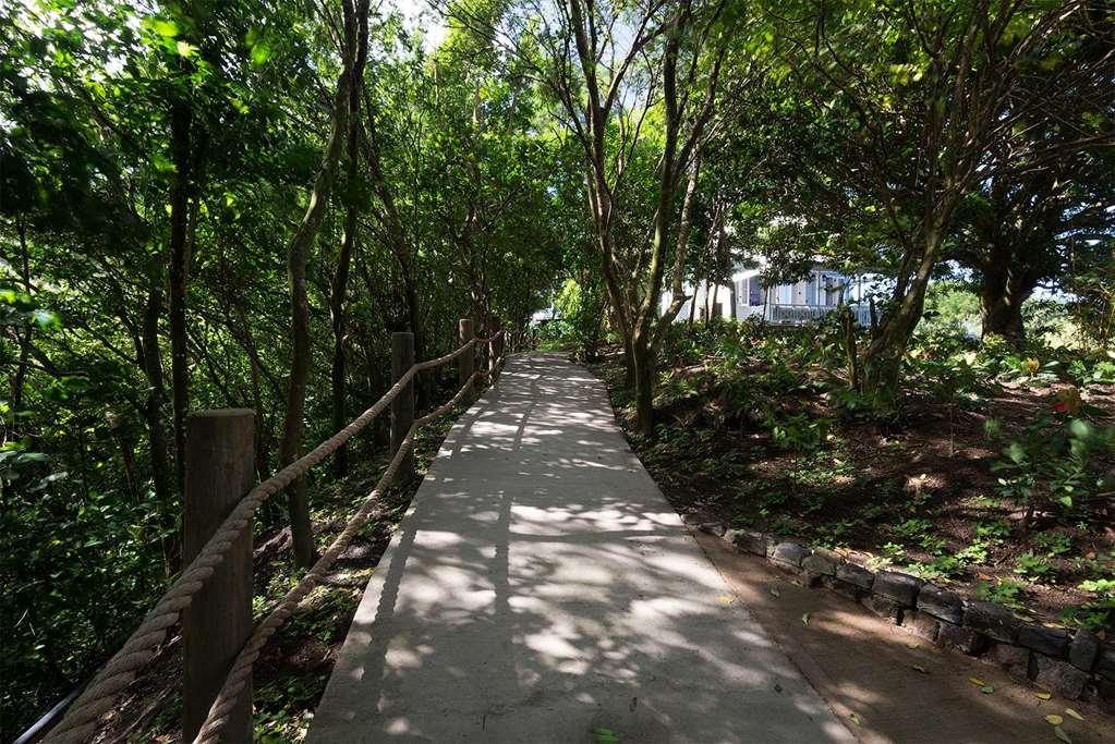 Belle Mont Sanctuary - Kittitian Hill Resort Basseterre
