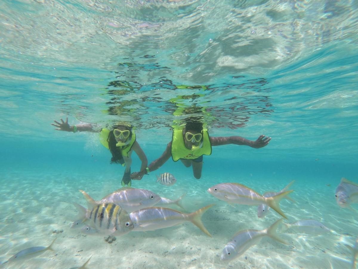 Paradise Island 3*