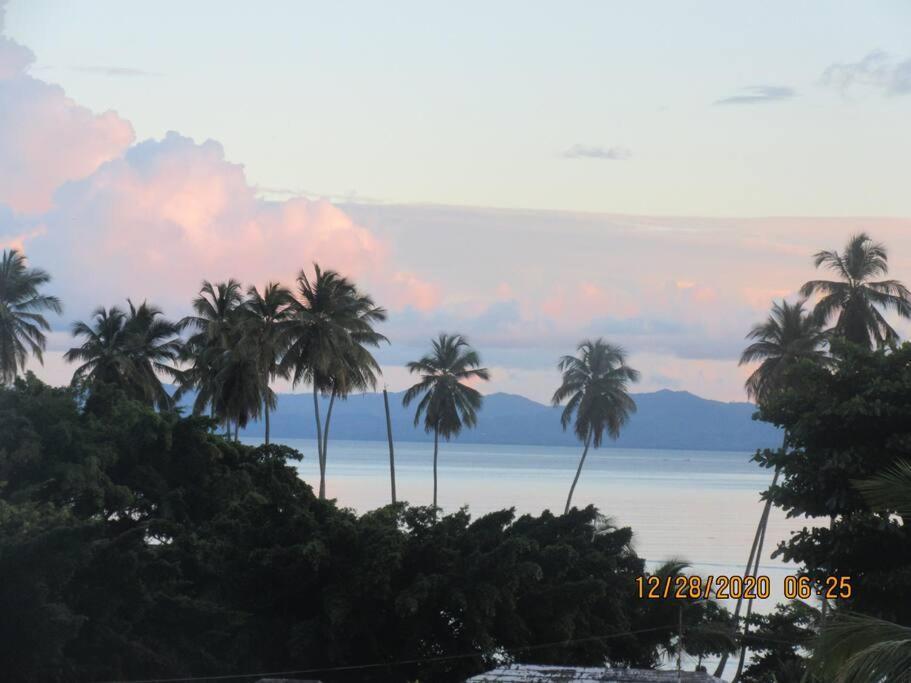 Pelicano Tropical Paraiso