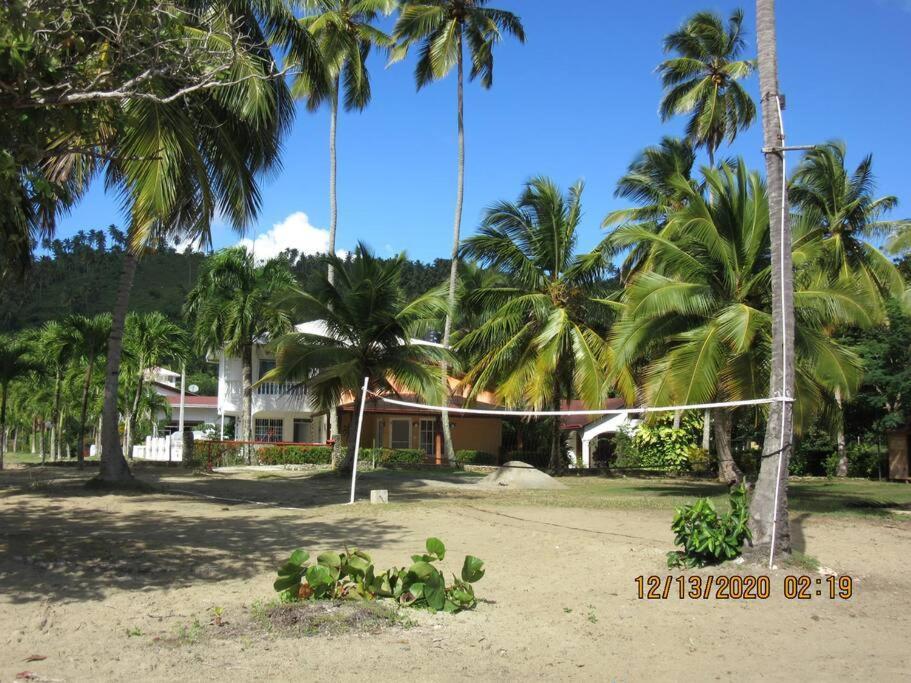 Pelicano Tropical Paraiso Samana